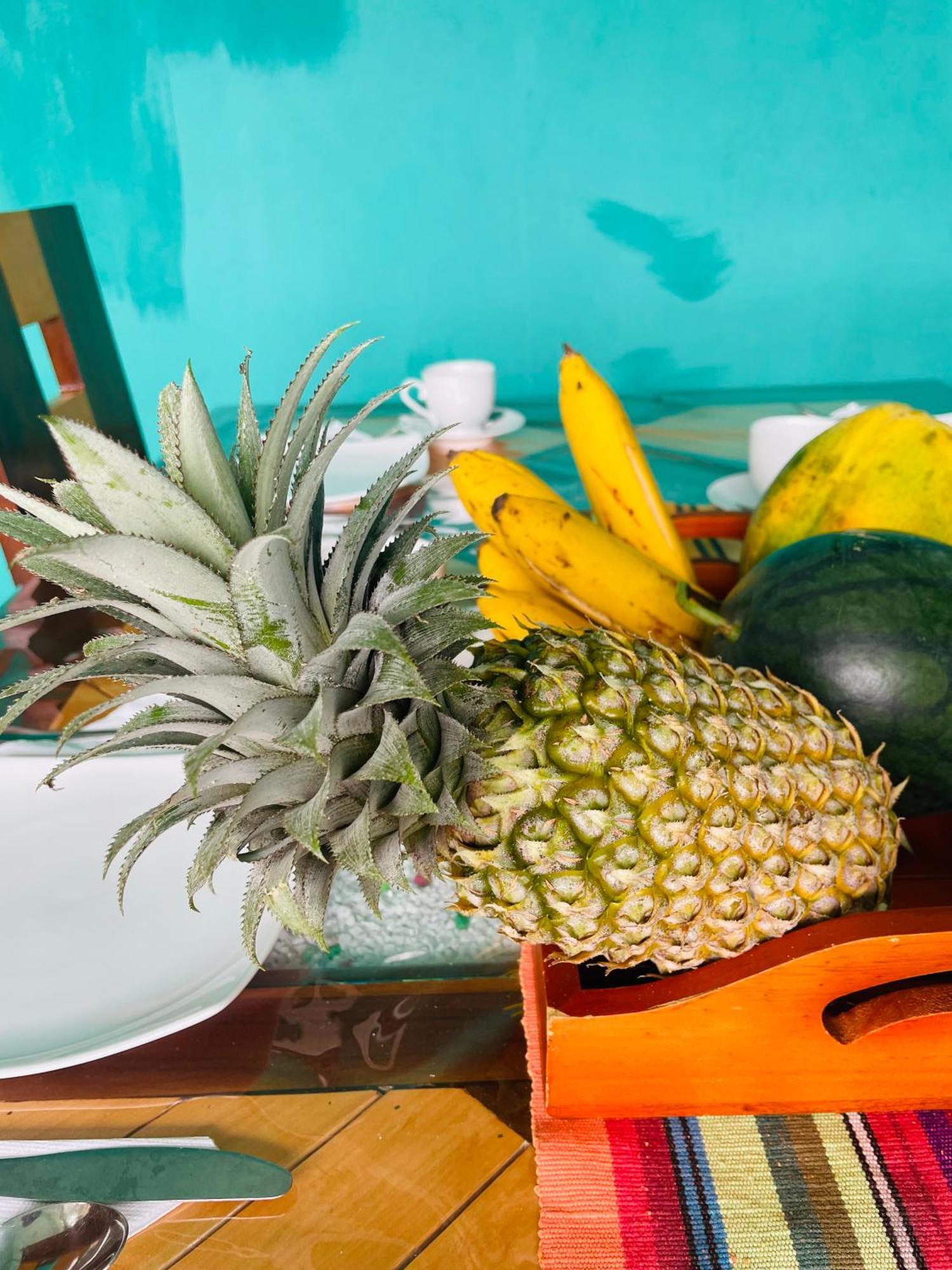 Little Paradise Homestay เอลลา ภายนอก รูปภาพ