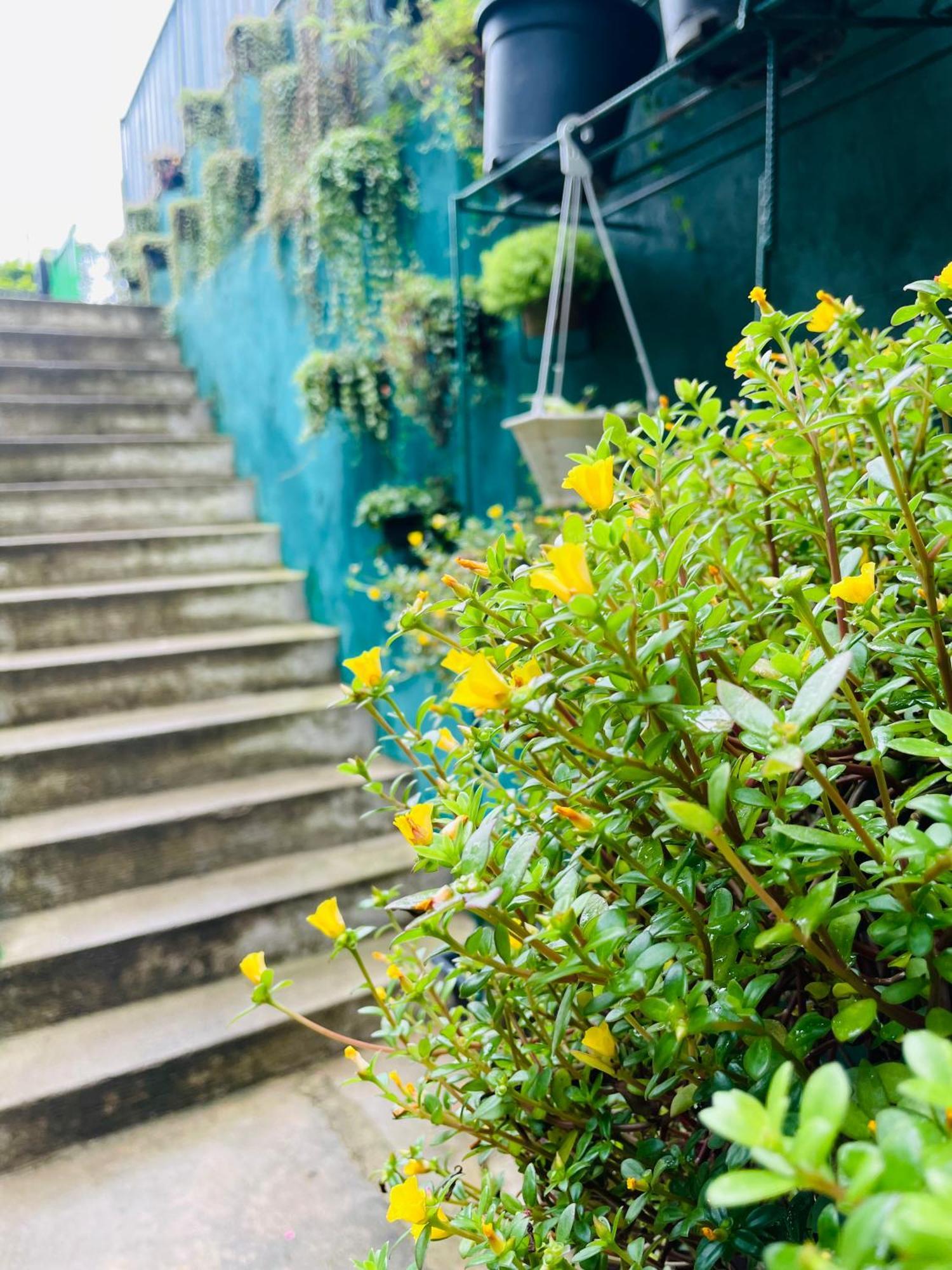 Little Paradise Homestay เอลลา ภายนอก รูปภาพ
