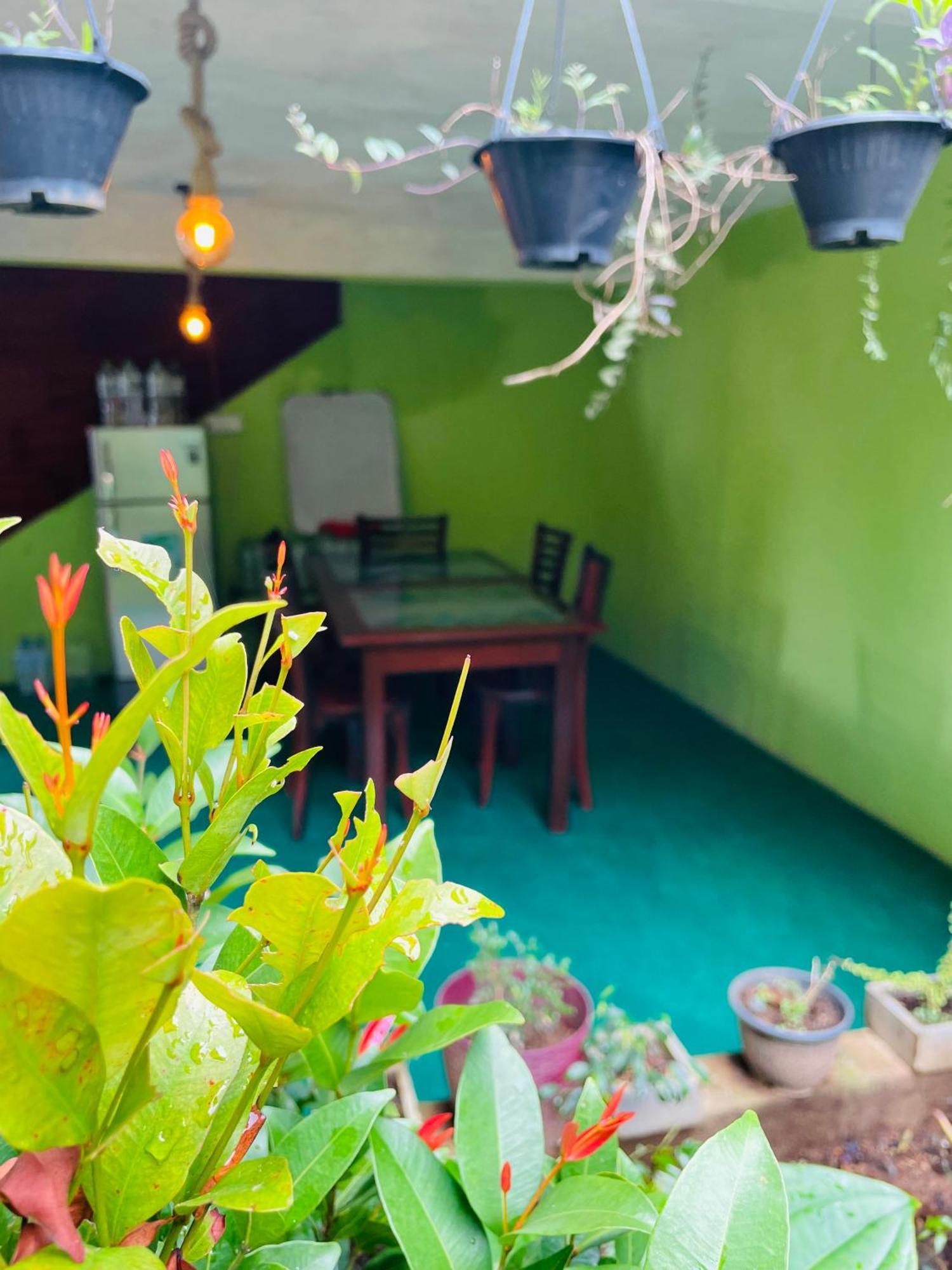 Little Paradise Homestay เอลลา ภายนอก รูปภาพ